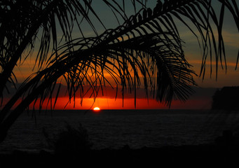 检针机的性能特点