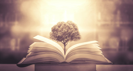 裸妆有要求眼影吗