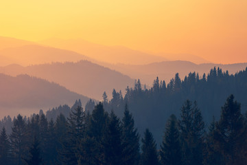 瓷肌产品到底好不好？