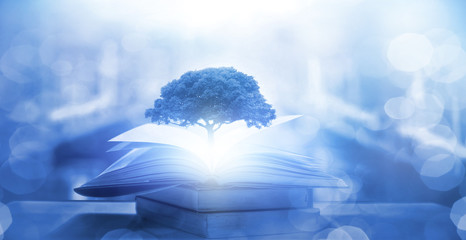 平时吃维c有什么好处