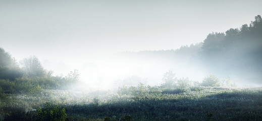 山东公费师范生学校有哪些