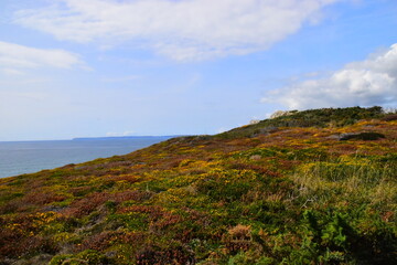 皮肤黑用什么眉笔？