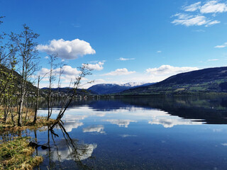绿茶面膜的功效与作用有哪些