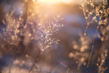 大学生如何提高自己的心理素质