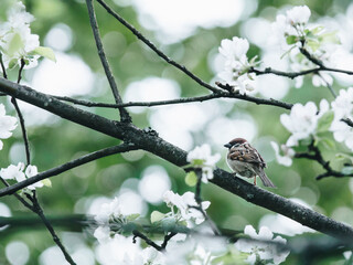 什么时候高校开始放假