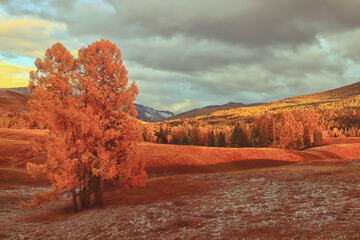 武汉公交线路查询