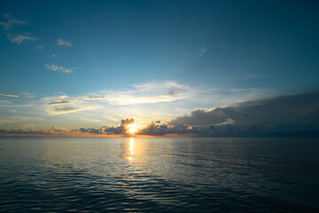 绿茶面膜的功效与作用有哪些