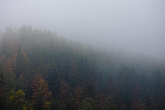 检针机的性能特点