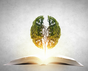 东海的海洋生物介绍