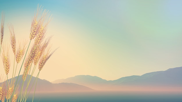 为什么用了玫琳凯的化妆品脸上刺痛