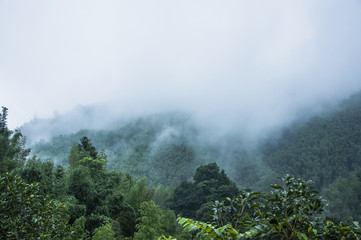 物质的量计算公式总结